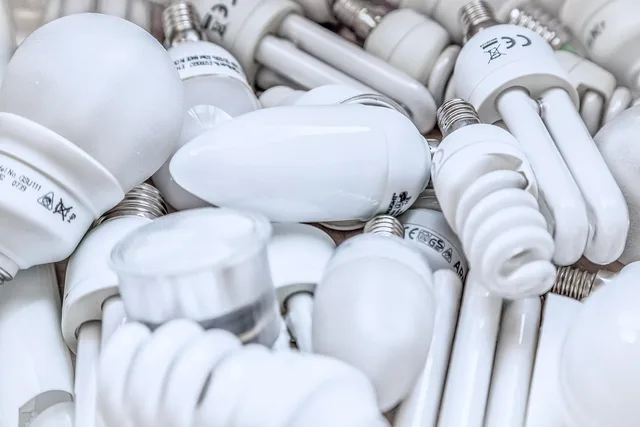 energy saving, recycling, garbage, disposal, waste, waste separation, fluorescent, energy saving lamp, light bulbs, monochrome, electro, glass, fluorescent tube, energy saving, energy saving, energy saving, energy saving, recycling, recycling, recycling, recycling, recycling, garbage, waste, waste, waste, waste, light bulbs, light bulbs, light bulbs. CECB: come leggere il certificato energetico cantonale degli edifici